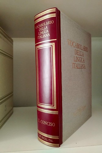 Vocabolario della lingua - vocabolario,