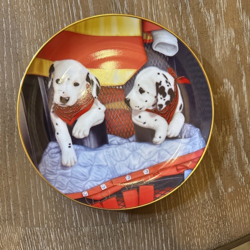 Danbury come nuovo pups n - nuovo, 'pups