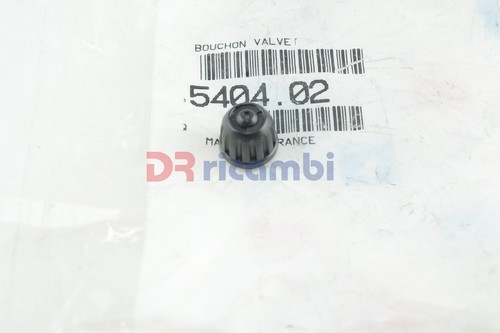 Tappo valvola ruota citroen - valvola,