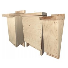 Set Di Casette Per Pipistrelli
