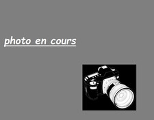 Pesi Per Orologio A Cucù 250