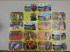 CARTELLO SEGNALETICO ATTENTI