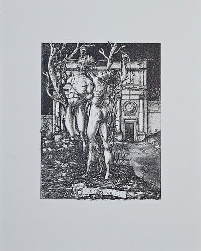 Galeazzo viganò acquaforte - -,