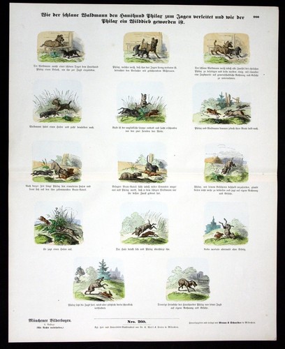 1890 cane caccia - cane,