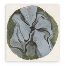 GUALTIERO MOCENNI (Pola Istria