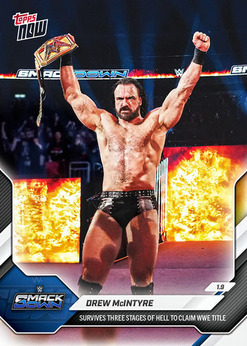 Topps wwe wrestling - topps,