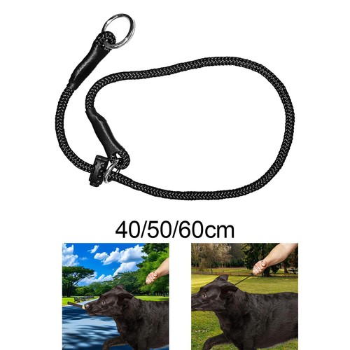 Accessori per cani potenti - accessori,
