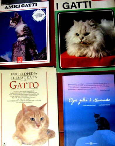 Gatti lotto libri - 4,