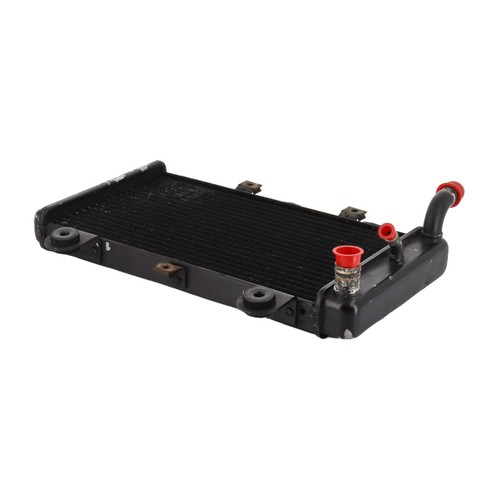 Radiatore triumph 955 - radiatore,