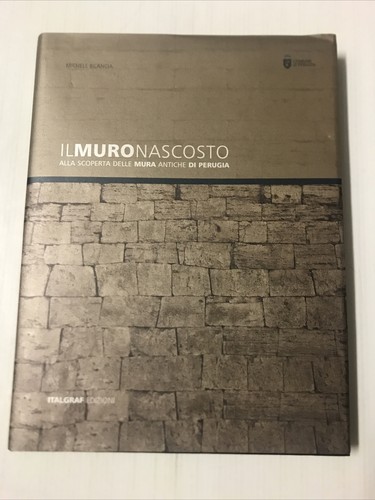 Muro nascosto alla - il,