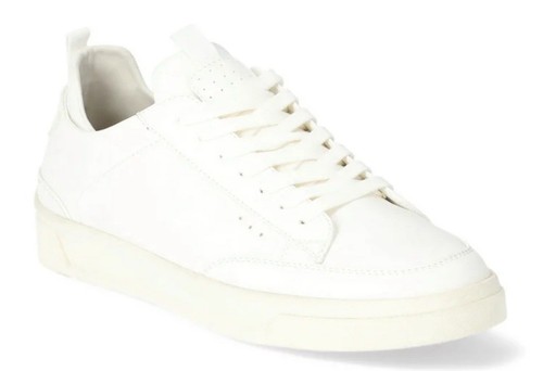 Sneakers basse steve madden - basse,