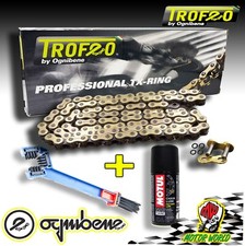 TROFEO CATENA ORO O-RING 520