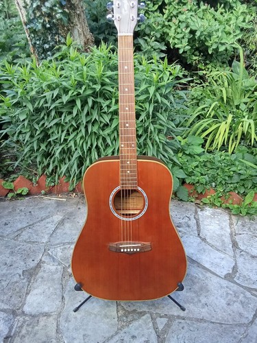 Tanglewood evolution big baby - tanglewood,
