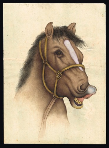Dipinto magico cavallo arte - magico, di
