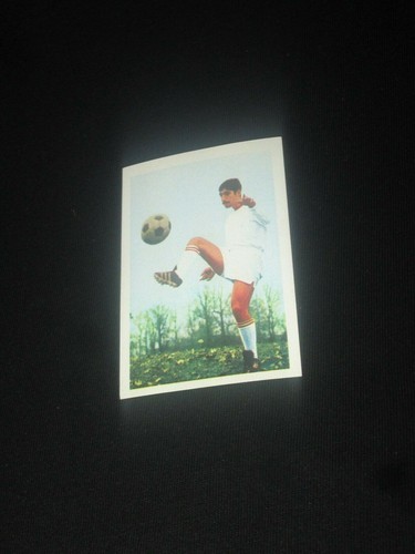 Gianquinto losc lille - ,