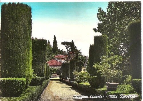 Canepina - ,