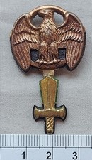 DISTINTIVO DORATO  FASCISTA  MILIZIA SCUDETTI PUGLIE