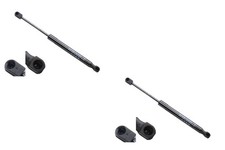 Molla a gas ammortizzatore