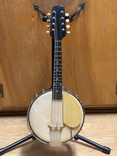 Vintage raro gibson mandolin - vintage,