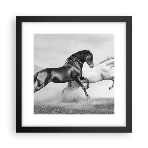 Poster 30x30cm cavalli animali - 30x30cm,