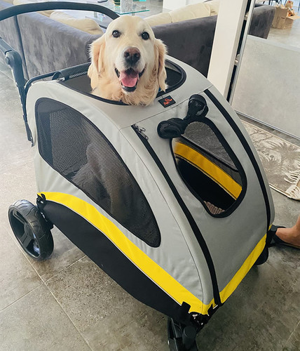 Passeggino per cani - , xl