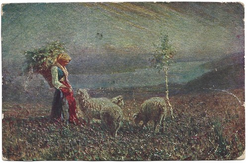 Antica cartolina tominetti - cartolina:,