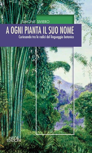 Libri simone siviero a ogni - a,