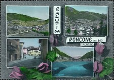 cz19 cartolina saluti da roncone provincia di trento trentino