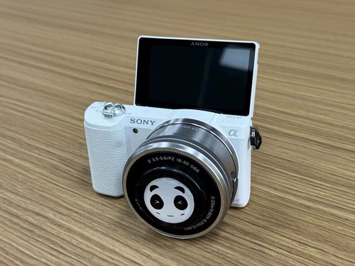 Sony alpha a5100 aps - sony,
