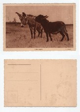 Cartolina Antica Stefano