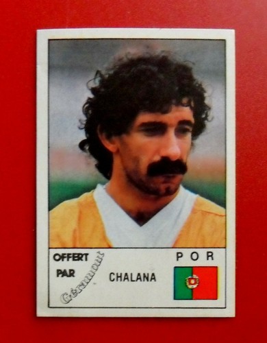 Rare panini sticker - rare,