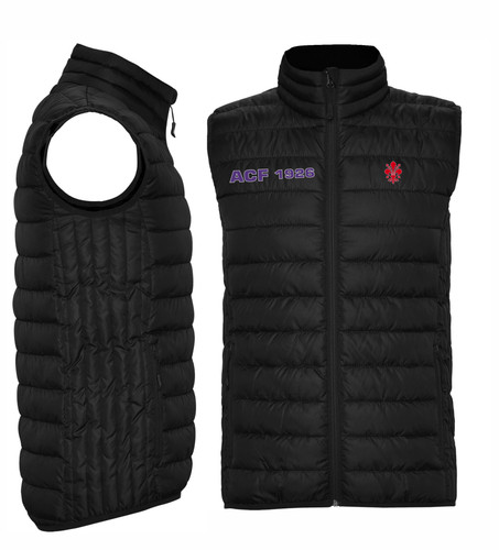 Firenze fiorentina smanicato - firenze,