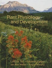 Plant Physiology and