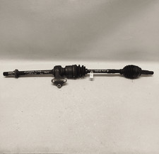 FD8025500B Semialbero ant