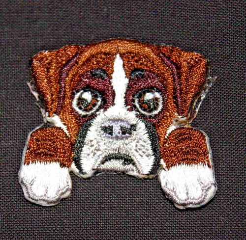 Boxer cucciolo cane razza