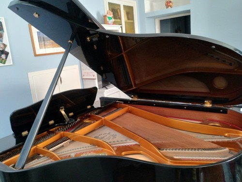 Pianoforte coda seiler m180 - seiler,