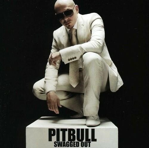 Pitbull swagged out - -,