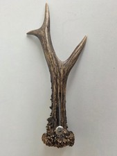 Non comune tagliasigari