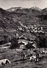 CARTOLINA DI MONESI - PANORAMA