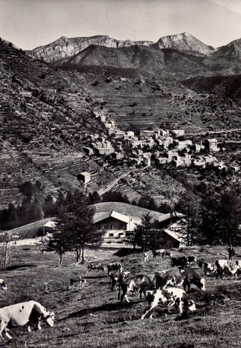 Cartolina monesi panorama - cartolina,