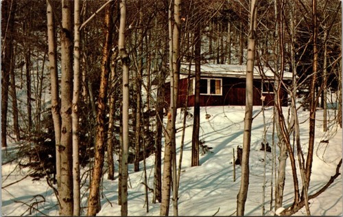 Cartolina adirondack winter - cartolina,