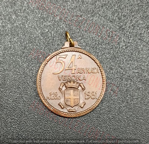 Medaglia militare ana - medaglia,