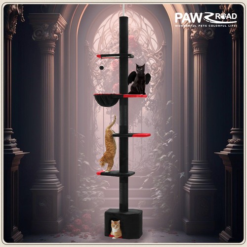 Tiragraffi pawz road - tiragraffi, altezza