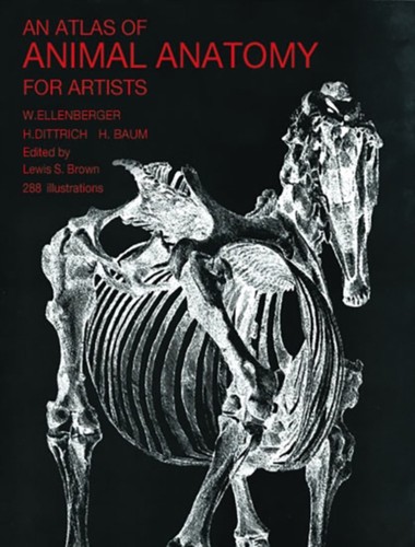 Atlas animal anatomy - atlas, for