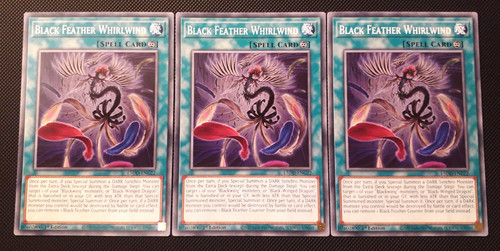 3x vortice in piuma - vortice,