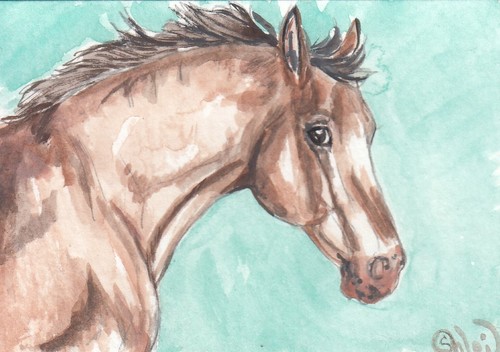 Aceo originale acquerello arte - aceo,