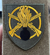 Unità Esercito Ucraina 22°