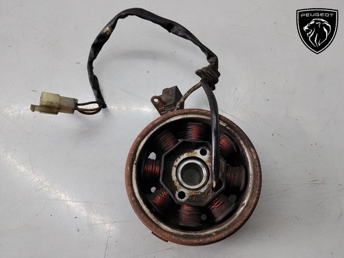 Volano statore magnete - statore,