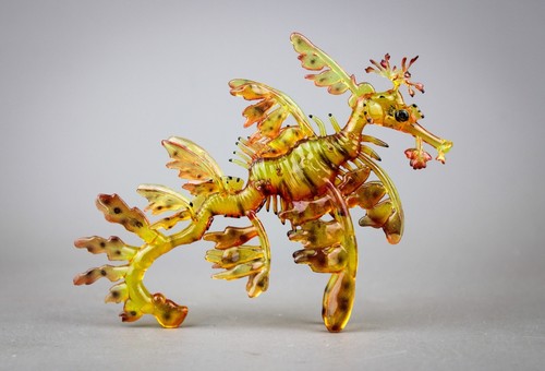 Clearware weedy sea - cm, dragon