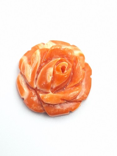 Antico cammeo anello - antico, corallo